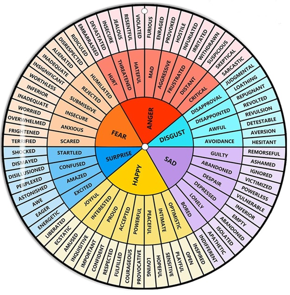 Visual emotion wheel with inner, middle, and outer emotion labels arranged in coloured segments.
